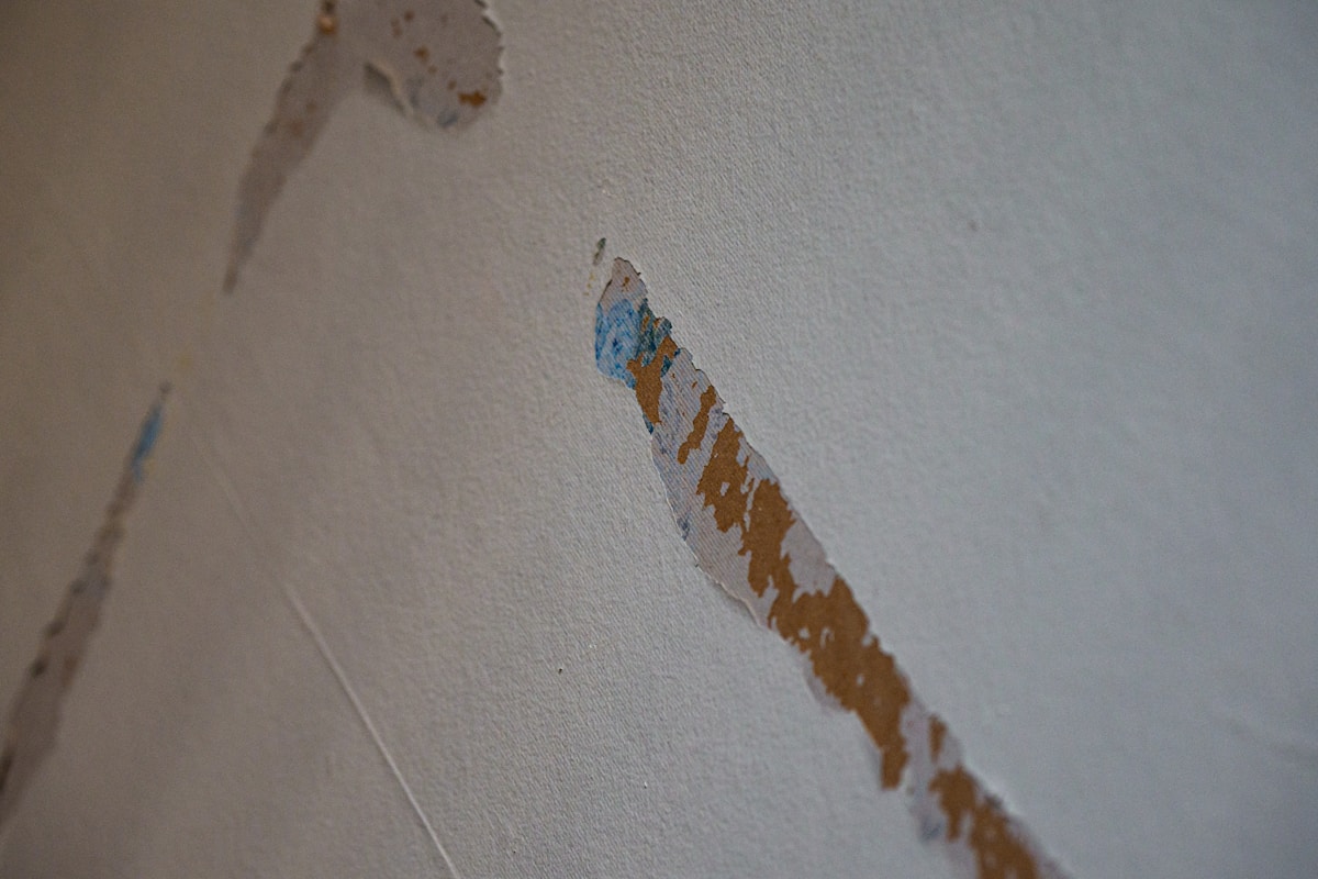 Storm Damage Repair service in Fredericksburg, VA